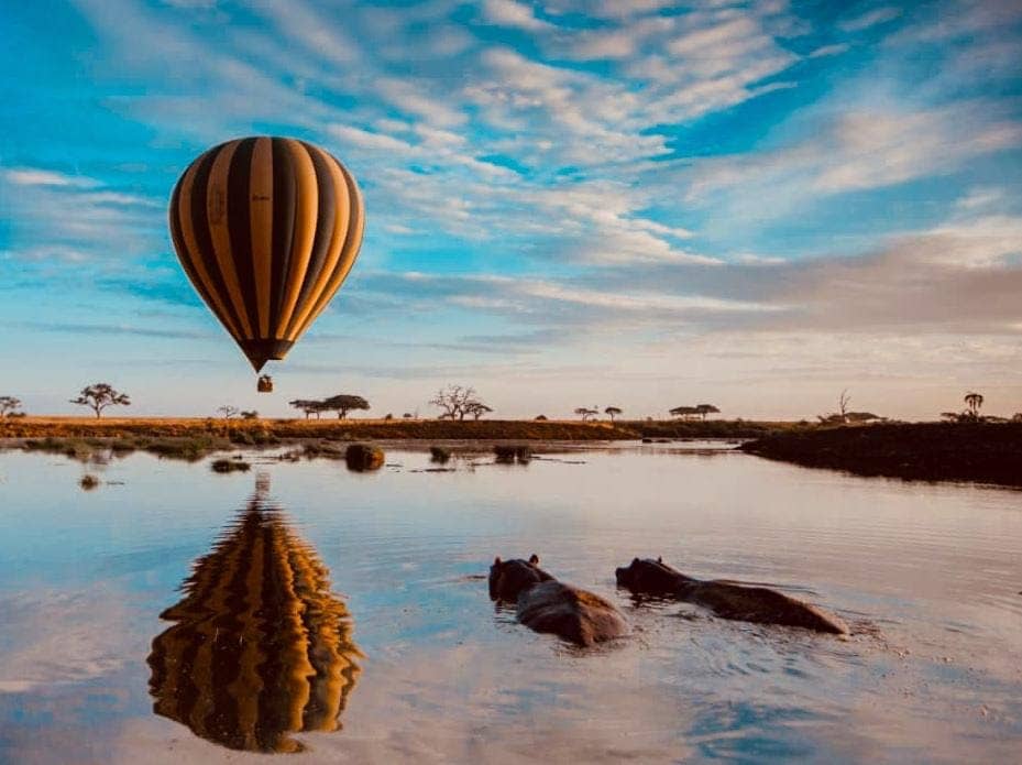 Balloon Safaris