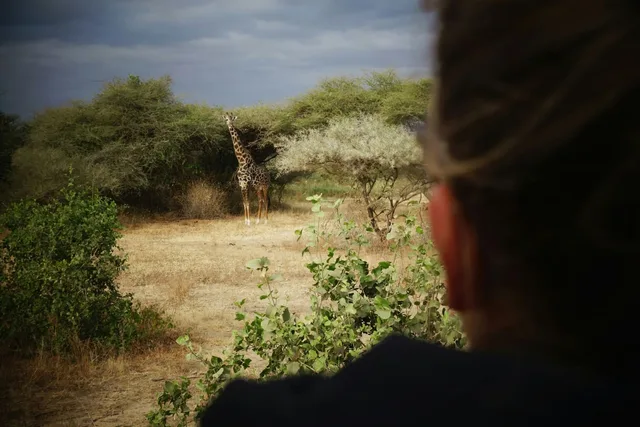 5 Days Lake Manyara, Ngorongoro & Serengeti Safari