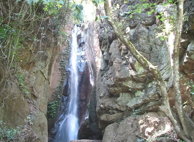 3 Days Gombe Stream Chimpanzee Safari