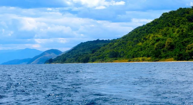 Day Trip to Gombe National Park