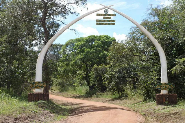 3 Days Safari to Katavi National Park