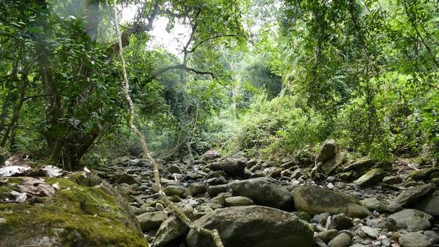 3 Days Safari to Mahale National Park