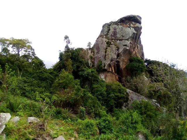 Day Trip to South Pare Mountains