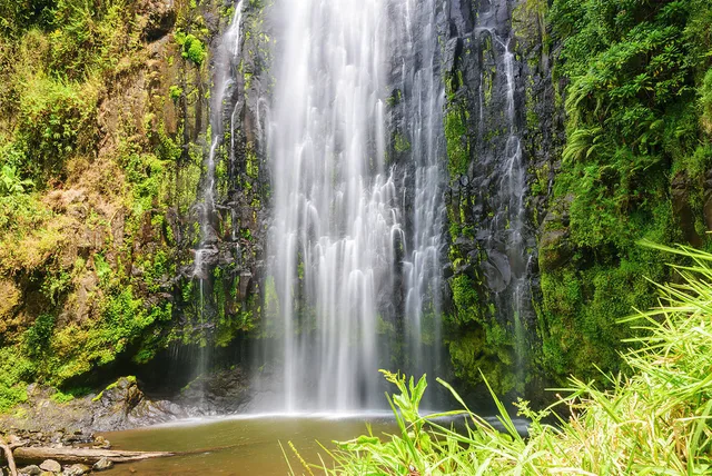 10 Days Wild Tanzania: Culture, Big 5 & Gombe Chimpanzees