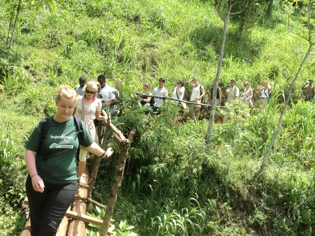 Day Trip to Materuni Waterfalls and Coffee Tour