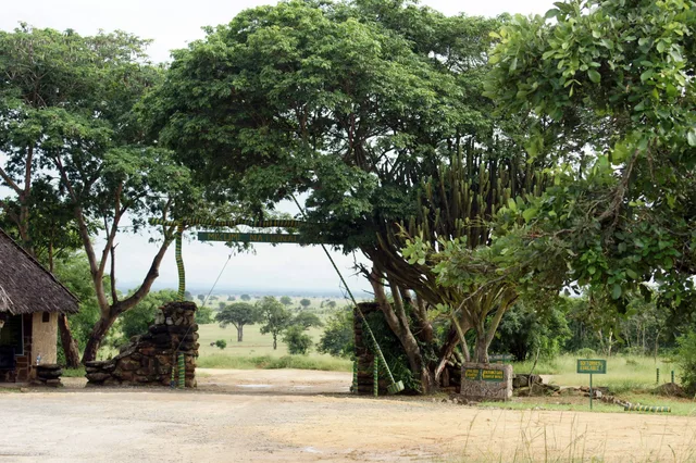 4 Days Safari to Mikumi & Udzungwa National Parks