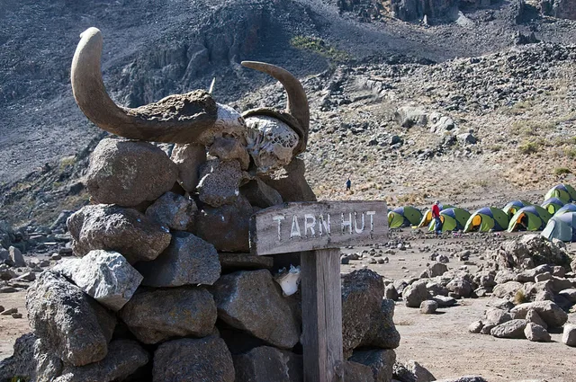 10 Days Kilimanjaro Lemosho Route Climb