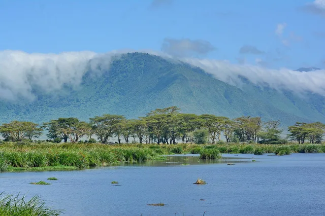 2 Days Tarangire & Ngorongoro Crater Safari