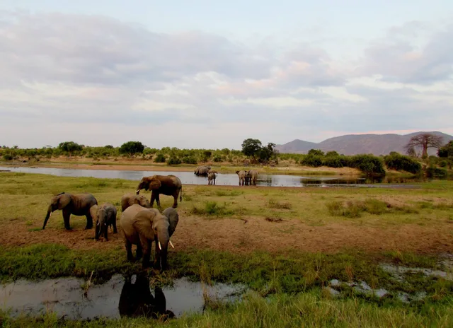 3 Days Safari to Ruaha National Park