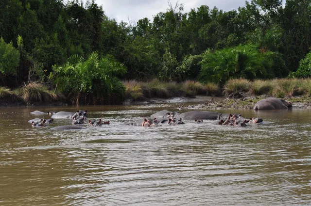 3 Days Safari to Saadani National Park