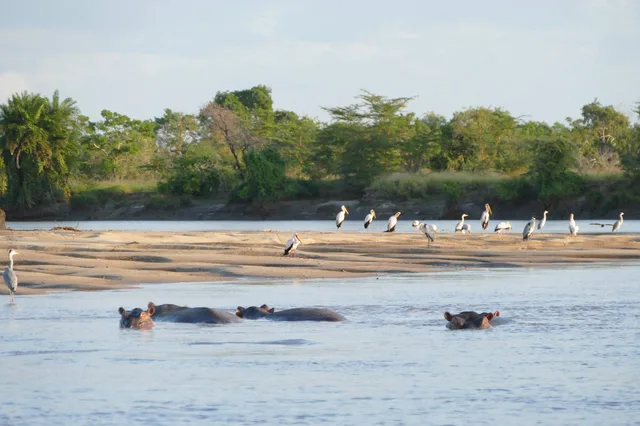 3 Days Safari to Saadani National Park
