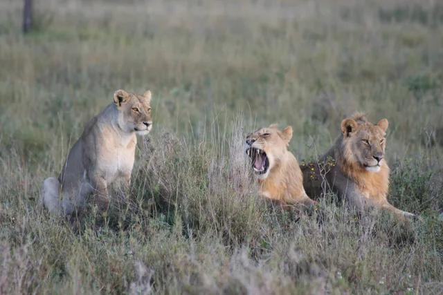 3 Days to Serengeti National Park