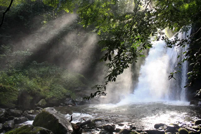 4 Days Safari to Mikumi & Udzungwa National Parks
