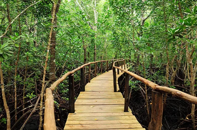 5 Days Zanzibar Beach Holiday