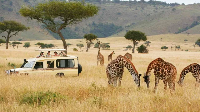 10 Days Tanzania Highlights: Safari & Zanzibar