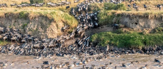 4 Days Serengeti Migration Camping Safari