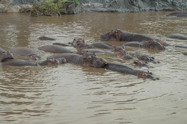 5 Days Budget Safari – Tarangire, Serengeti, Ngorongoro & Materuni