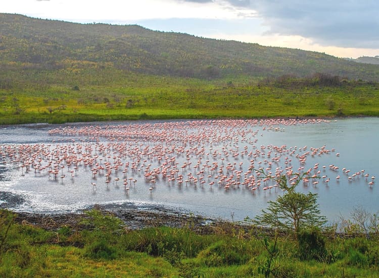 Arusha National Park