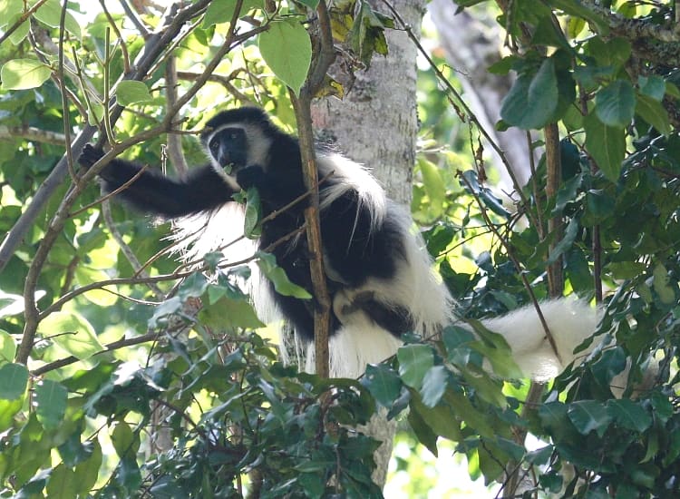 Arusha National Park – photo 1