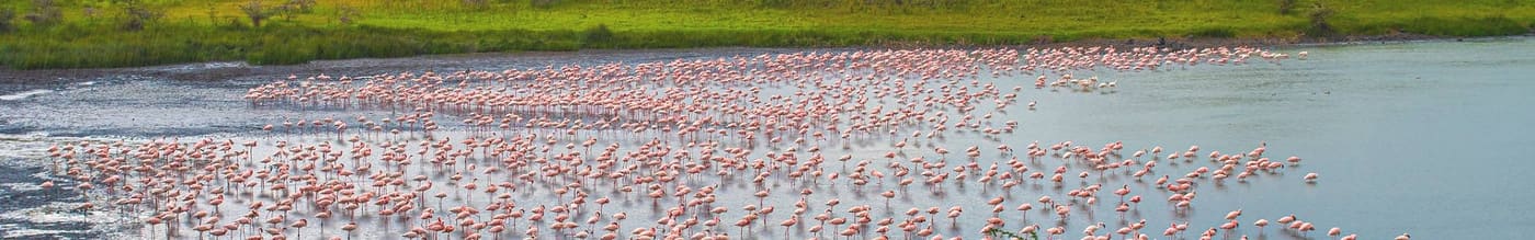 Arusha National Park