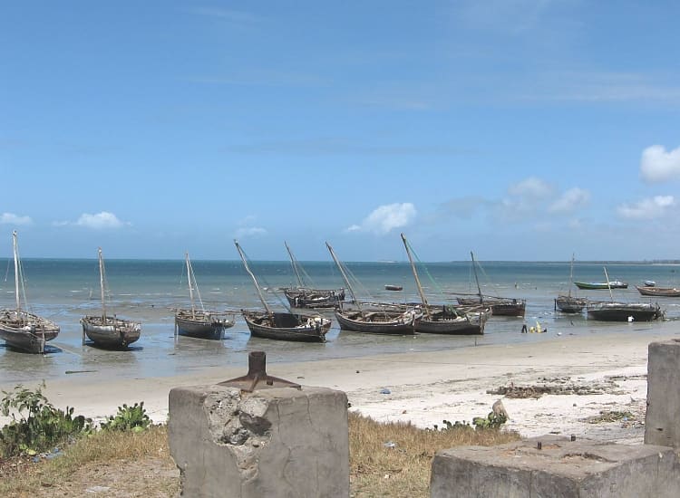 Bagamoyo Day Trip – photo 1