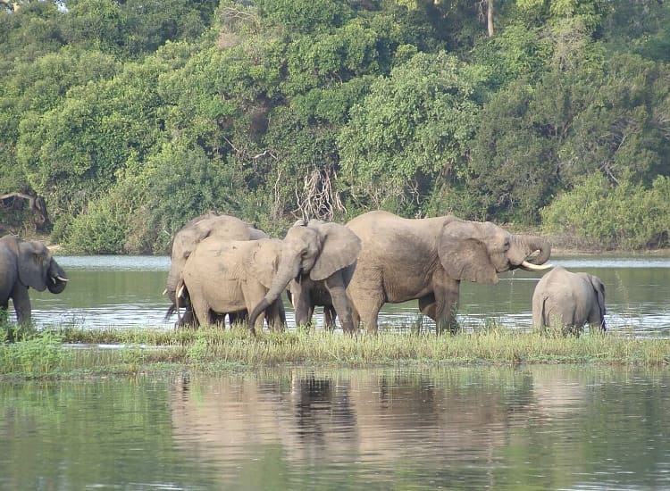 Day hike Uluguru Mountains and Choma Waterfalls