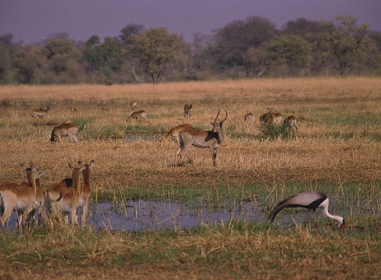 Ibanda-Kyerwa National Park