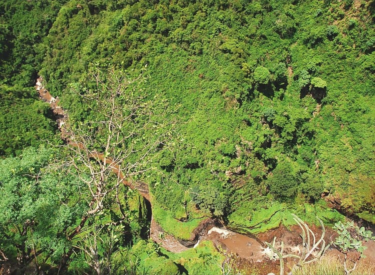 Kalambo Falls – photo 2