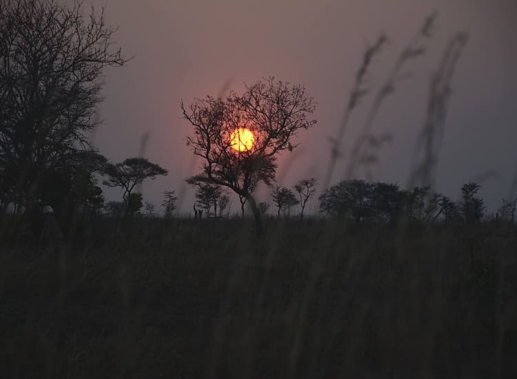 Katavi National Park – photo 1