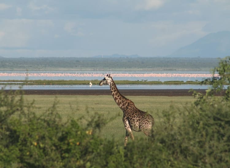 5 Days northern safari