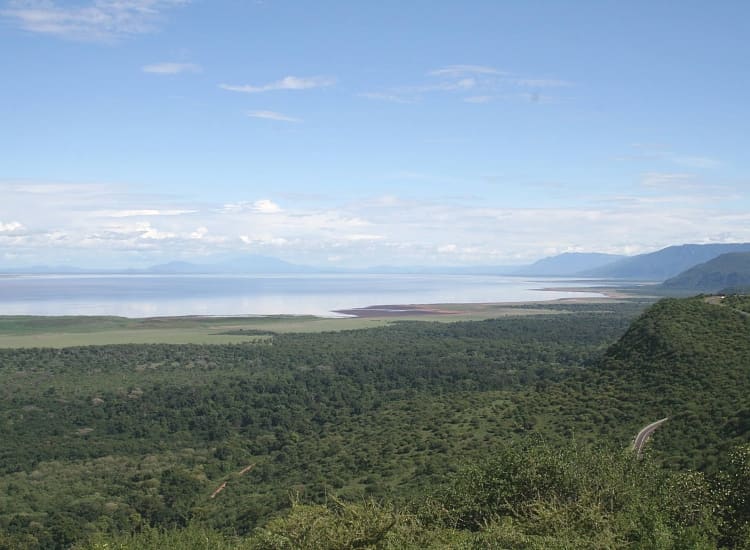 Lake Manyara National Park – photo 2