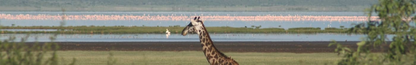 Lake Manyara National Park