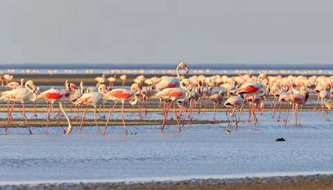 Lake Natron – Ol Doinyo Lengai