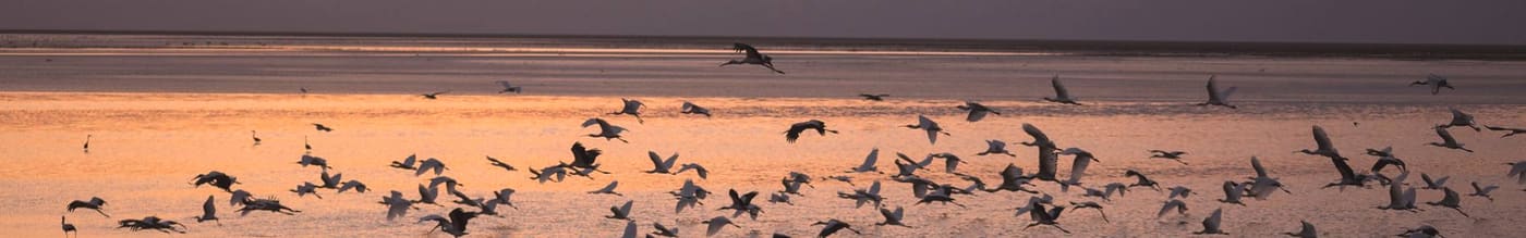 Lake Natron – photo 2