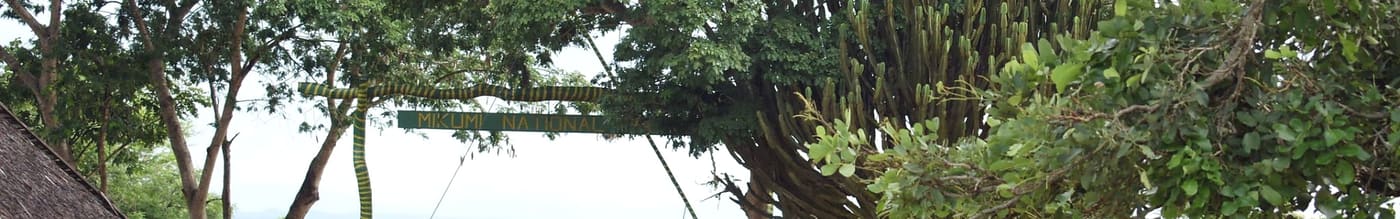Mikumi National Park – photo 1