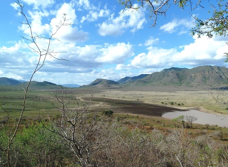 Mkomazi National Park