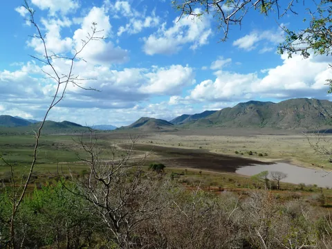 Mkomazi National Park – Wild Dogs