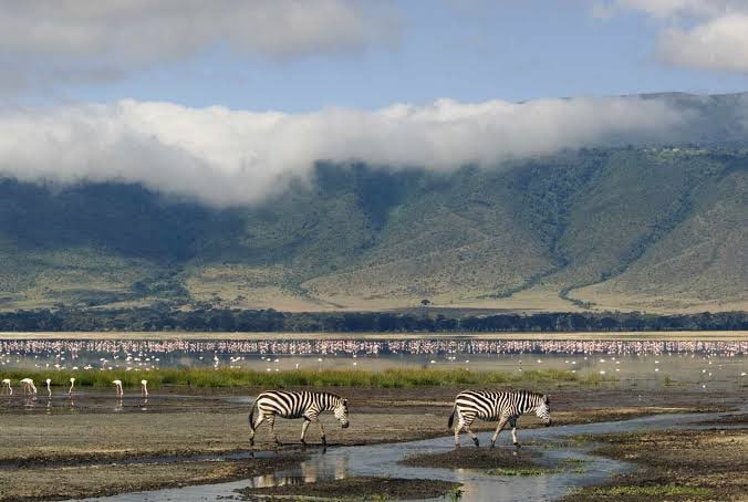 Ngorongoro Conservation Area – photo 1