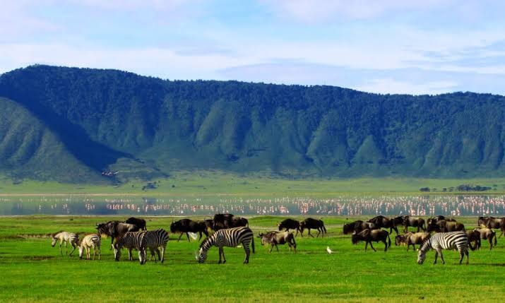 Ngorongoro Conservation Area