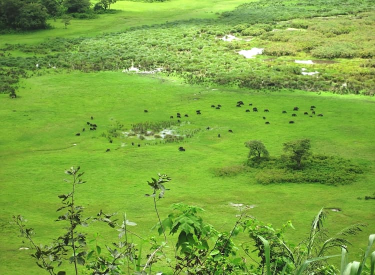 Ngurdoto Crater – photo 2