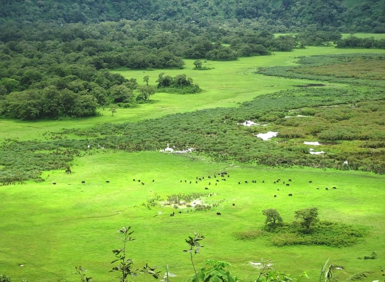 Ngurdoto Crater – photo 4