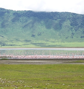 Ngurdoto Crater – photo 7