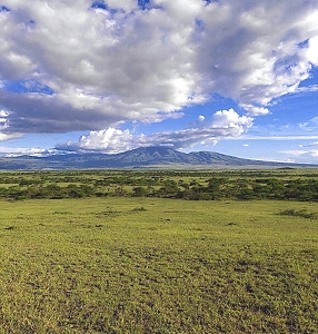 Ngurdoto Crater – photo 8