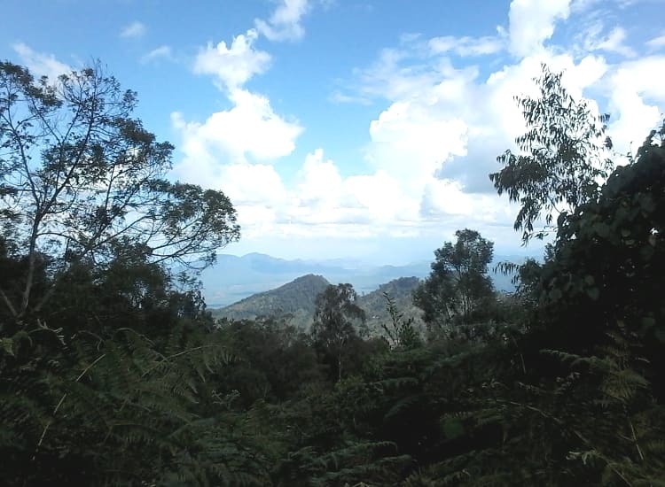 Pare Mountains – photo 4