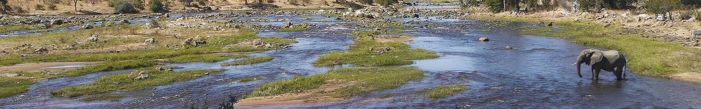 Ruaha National Park – photo 1