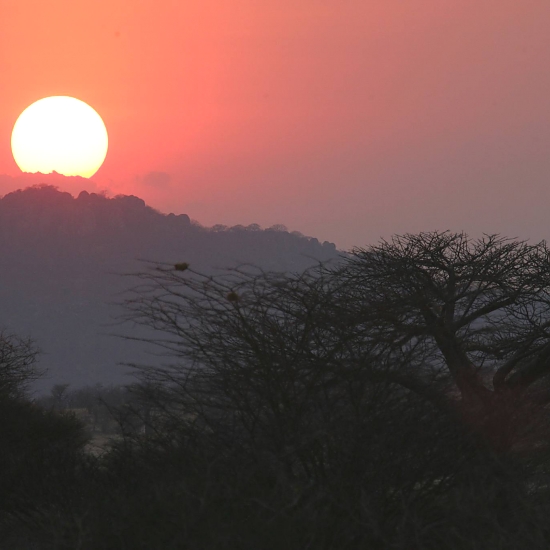 Ruaha National Park – photo 5