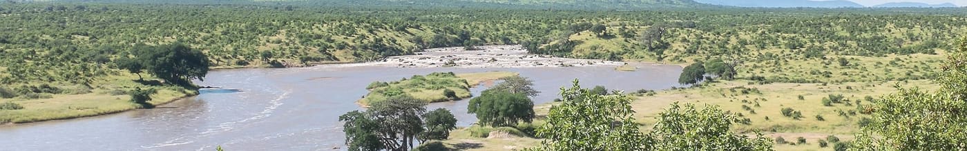 Ruaha National Park