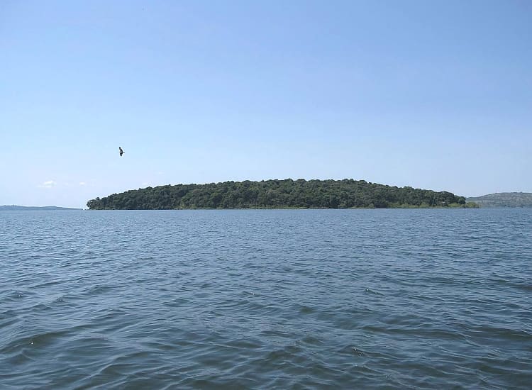 Rubondo Island National Park