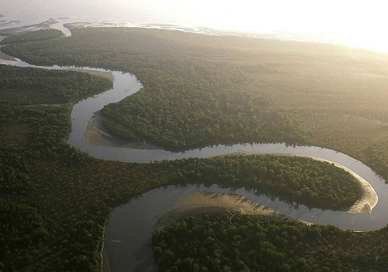 Day trip to Saadani National Park