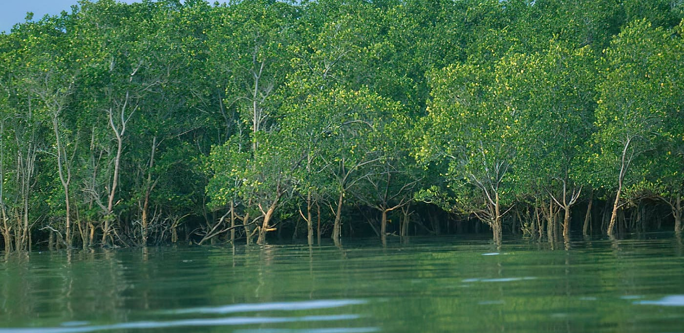 Day trip to Saadani National Park